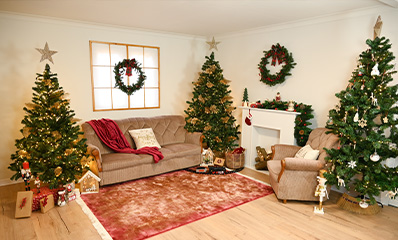 Ședințe Foto Crăciun Arad – Decor de Poveste și Atmosferă Caldă