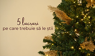 5 lucruri pe care trebuie să le știi înainte de ședința foto de Crăciun în Arad (Ghid 2025)