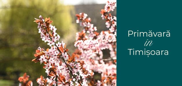 Primăvara în Timișoara, pe malul Begăi