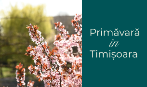 Primăvara în Timișoara, pe malul Begăi